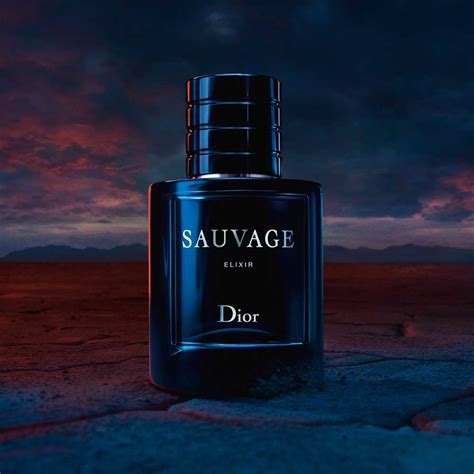 sauvage dior duftbeschreibung|Dior wild parfum.